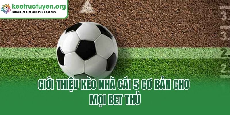 Giới Thiệu Kèo Nhà Cái 5 - Lựa Chọn Đẳng Cấp, Chất Lượng Giới thiệu kèo nhà cái 5 cơ bản cho mọi bet thủ
