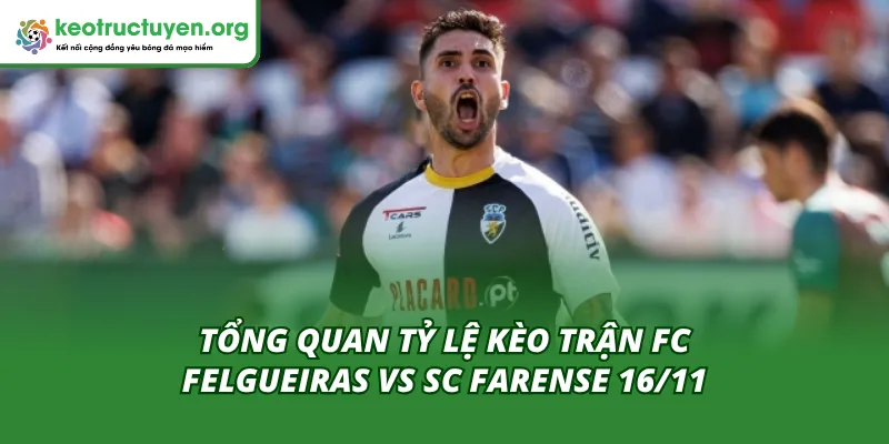 Tỷ Lệ Kèo Trận FC Felgueiras Vs SC Farense 16/11 Chuẩn Nhất Tỷ lệ kèo trận FC Felgueiras vs SC Farense 16/11 mới nhất