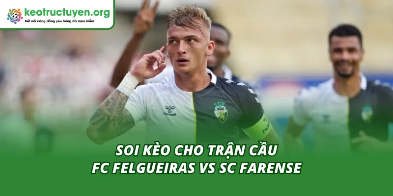 Tỷ Lệ Kèo Trận FC Felgueiras Vs SC Farense 16/11 Chuẩn Nhất Nhận định và đoán kết quả trận FC Felgueiras – SC Farense