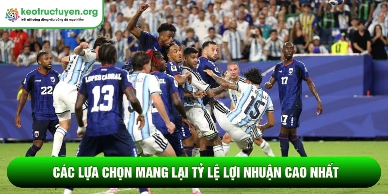 Các lựa chọn mang lại tỷ lệ lợi nhuận cao nhất