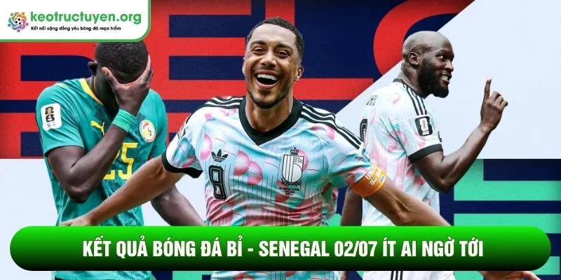Kết quả bóng đá Bỉ - Senegal 02/07 ít ai ngờ tới